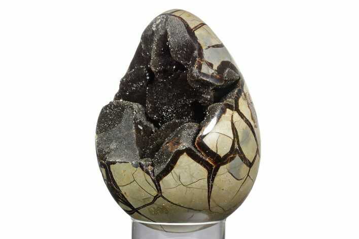 Septarian Dragon Egg Geode - Sparkly Black Crystals #355911